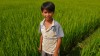  garcon a la riziere. Hoi An - My Son. vietnam
